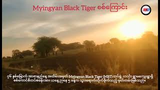 Myingyan Black Tiger စစ်ကြောင်း