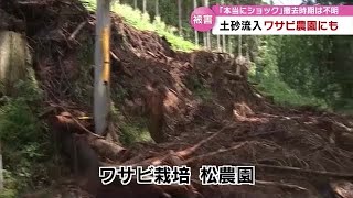 大雨でワサビ農園にも被害「ショックだった…」畑の大部分に土砂流入　日田市・大分 (23/07/04 18:40)