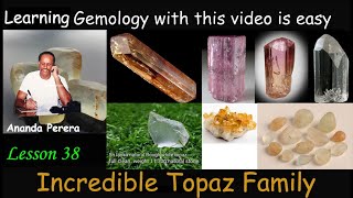 L 38 E | Meet the Amazing Topaz Family | Discover the Incredible Topaz Family | Topaz Family