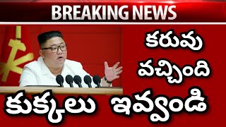 కరువు వచ్చింది కుక్కలు ఇవ్వండి కిమ్ ఆదేశం #NorthKoreaPresidentKim #Northkorea #China #Kim #ModiIndia