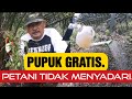 Pupuk Gratis Kelapa Sawit