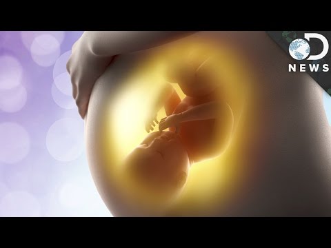 How Hard Is It To Get Pregnant? How Hard Is It To Get Pregnant?