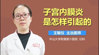 子宫内膜炎的原因 子宫内膜炎是怎样引起的 有来医生