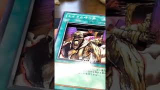 【遊戯王】ミイラの呼び声シャドーボックス 466作目