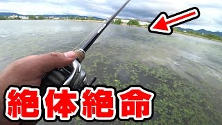 6月中旬、沖のヒシモでとんでもない事が起きた【琵琶湖バス釣り】ビッグパドル