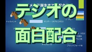 オルフェーヴルは賢すぎた？　頭脳刷新！テシオ理論にもある4系統の面白配合とは？【計算する血統】No.11