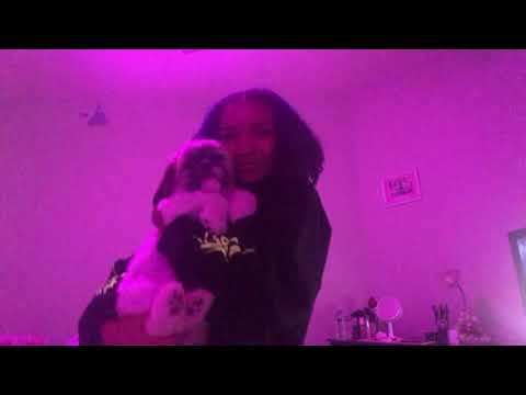 ANNOYING MY PUPPY FOR 2 MINUTES ANNOYING MY PUPPY FOR 2 MINUTES