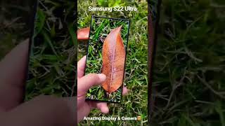 Samsung Galaxy S22 Ultra Camera & Display Test #shorts #short #viral #trending #galaxys22ultra #fyp