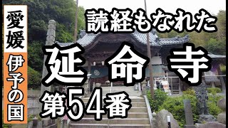 圓明寺➡延命寺ドライブお参り【第54番札所 四国八十八ヶ所巡礼】6/8日通しお遍路車モデルコース