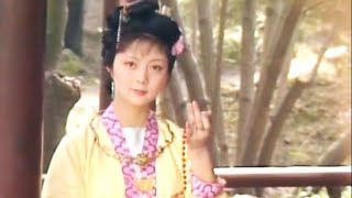 黛玉和寶钗，妳會選誰做媳婦？？？#紅樓夢