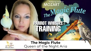 The Magic Flute - Aria Queen of the Night ~ Parrot Whistle Training