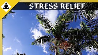 Sleep Music 😌 Relaxing Music for Stress Relief and Yoga ☮ 10 Minute Meditation