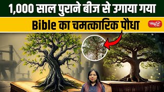 1,000-Year-Old Seed Sprouts Bible Miracle Plant | Ancient Plant Revived! | Sanskriti IAS | UPSC