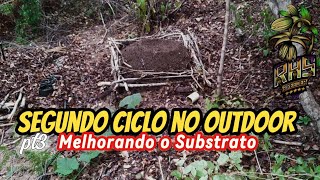 Segundo Ciclo No Outdoor - Melhorando Substrato