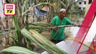 Atuk redah banjir 'selamatkan' pokok tebu