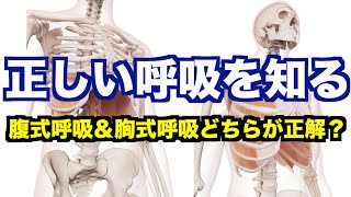 【腹式呼吸と胸式呼吸はどちらが正解？】「正しい呼吸のパターン」＆「正しい呼吸のメカニズム」を知ることが重要！呼吸エクササイズに繋がる知っておきたい豆知識！【愛媛県松山市　姿勢・歪み・痛み改善】