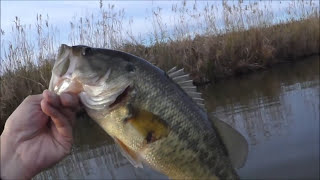 12月でもトップウォーター 初冬のフライでバス釣り 2016/12/5 霞水系