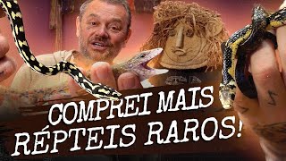 RECEBEMOS MAIS SERPENTES E LAGARTOS RAROS NA CASA DOS BICHOS!