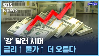 치솟는 달러 가치...'3중고' 위기의 한국경제 / SBS