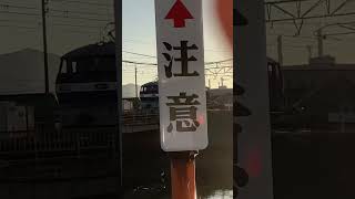 しんぢゅく撮り鉄日記#34 単機来たけどカメラが〜！！#撮り鉄 #電車 #貨物列車 #shorts