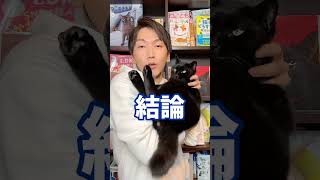 Q：猫って私のこと飼い主って思ってるの？