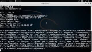 how to use Basic Tools Telnet Client