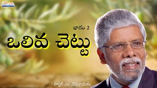 ఒలివ చెట్టు | భాగం 2 | పాస్టర్ ఎం. వేదనాయకం | శుభవార్తటీవీ