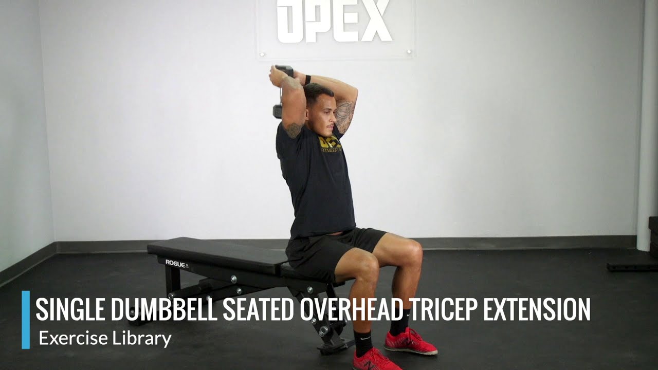 Single Dumbbell Seated Overhead Tricep Extension - OPEX Exercise ...