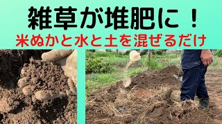 【ガーデニング】雑草から堆肥を作りました！使ったのは米ぬかと水と土を混ぜるだけでできます。これを知ったら草刈りが楽しくなってきました！