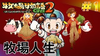 【GBC】牧場物語GB 2 | bokujou monogatari gb2 | 開荒牧場行動計畫開始! #1