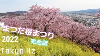 4K まつだ桜まつり2022 河津桜 菜の花 富士山（完全版）/ Matsuda Cherry Blossoms Festival in Kanagawa, Japan (Full Ver.)