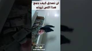 طائر مدرب على سرقة الأموال