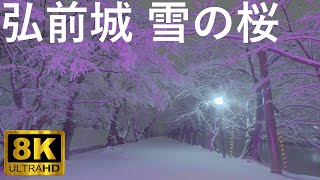 【弘前城】冬に現れる雪の桜 真夜中の弘前公園【青森県弘前市】8K