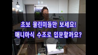 초보 물린이들만 보세요! 매니아식으로 입문해서 중복투자 피해볼까요?