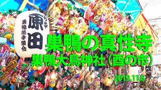 巣鴨　　真性寺　巣鴨大鳥神社（酉の市）2019.11.8