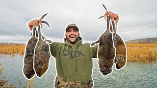 Trapping GIANT MUSKRATS at my FLOODED FARM!!! (My First Time)