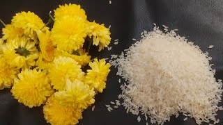 இனி பூவே வாங்க வேண்டாம் அதிக செலவு பன்னி/ super tips/ sevanthi poo storage tips