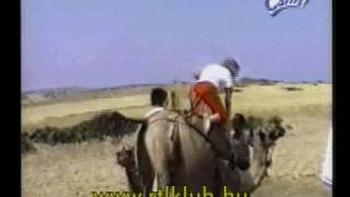 Funny man falling from camel
