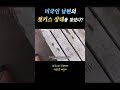 미국인 남편의 첫키스 상대를 찾았다.. 미국일상 국제커플 미국이민 미국브이로그