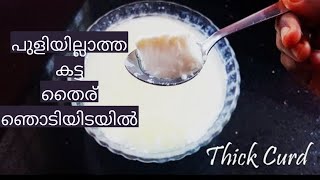 പുളിയില്ലാത്ത കട്ടിയുള്ള തൈര് | How to make  Homemade thick curd