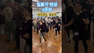 밀롱가완성3주차 #태양쏠교수 수업풍경 #tango #탱고 #아르헨티나탱고