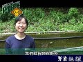 【npustptrc】屏科大保育類野生動物收容中心 鼬獾野放記