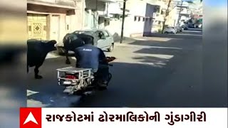 Rajkot : રાજકોટ મનપાની ટીમ વિરુદ્ધ ઢોરમાલિકોની ગુંડાગીરી