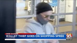Wallet Thief Goes On Shopping Spree