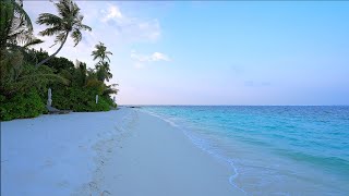 Gentle Waves on The Best Beach in Maldives. Ocean Ambience 4K