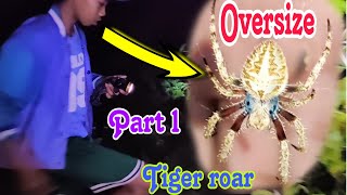 #Spider Hunting/(Part 1)/Night Hunting/Oversize at Jumbo kaming Nakita...