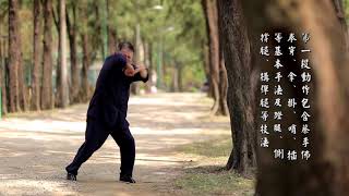 南拳蔡李佛教材—連環扣打拳