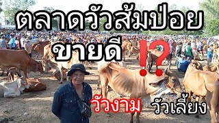 ตลาดวัวสี่แยกส้มป่อย(2/9/2565)#ราคาวัววันนี้#วัวงาม#เลี้ยงวัว#วัวบราห์มัน#วัวโครง #วัวขุน#ควายงาม