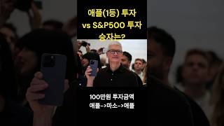 애플 주식 : S\u0026P500 장기투자, 주식 투자 수익률은?