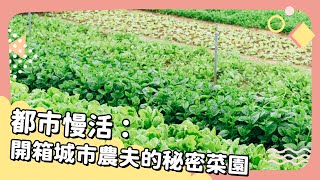 2021年9月號 Unit 4-1【都市慢活：開箱城市農夫的秘密菜園】- 完整課程講解